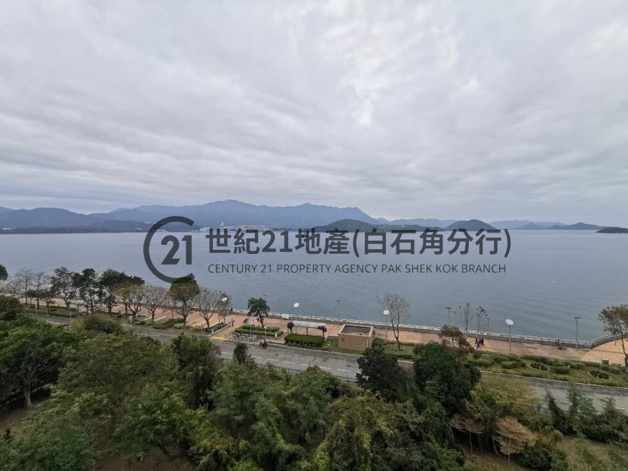 海鑽天賦海灣 03座 高層 B室 - 世紀21白石角分行 - 大埔區物業代理的權威百科 專營豪宅買賣