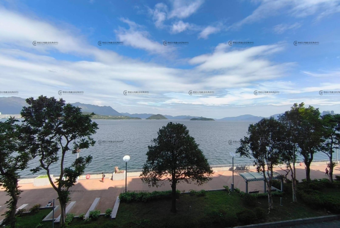 逸瓏灣I 03座 低層 B室 - 世紀21白石角分行 - 大埔區物業代理的權威百科 專營豪宅買賣