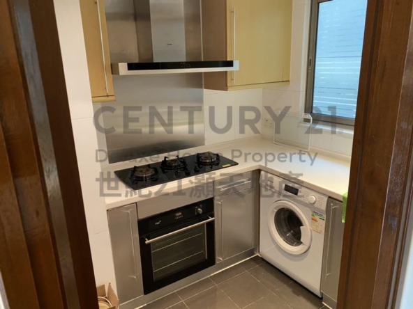 淺月灣 全幢 - 世紀21白石角分行 - 大埔區物業代理的權威百科 專營豪宅買賣