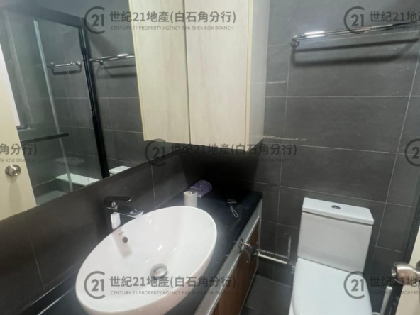 倚龍山莊 01座 低層 PH-1C室 - 世紀21白石角分行 - 大埔區物業代理的權威百科 專營豪宅買賣