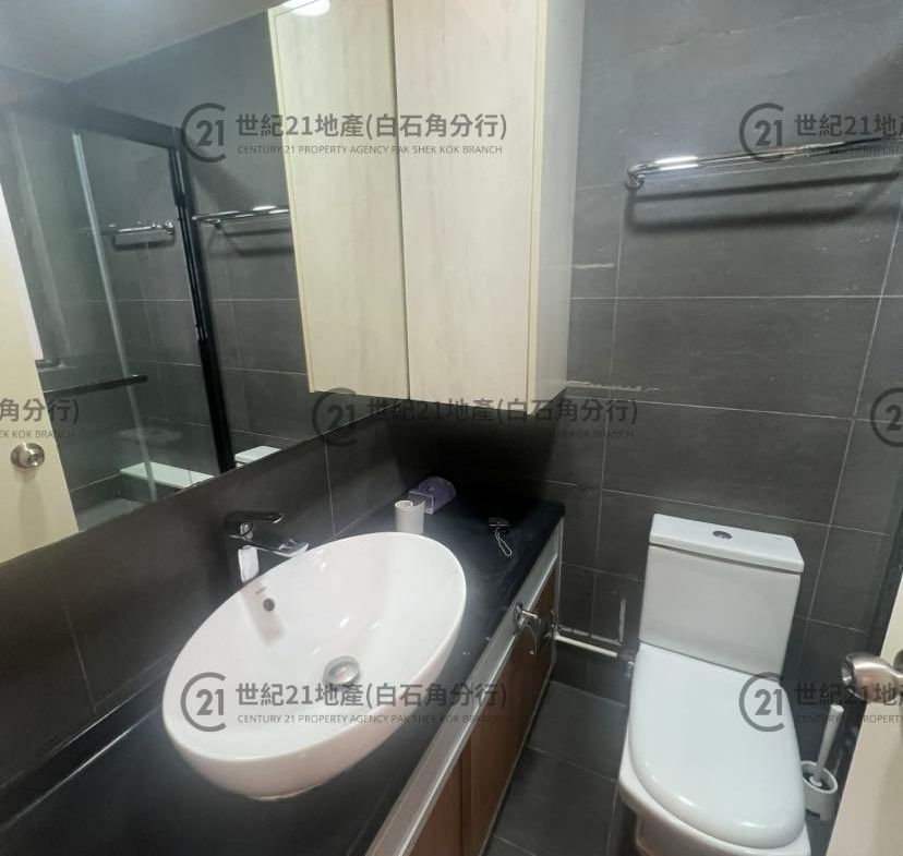 倚龍山莊 01座 低層 PH-1C室 - 世紀21白石角分行 - 大埔區物業代理的權威百科 專營豪宅買賣