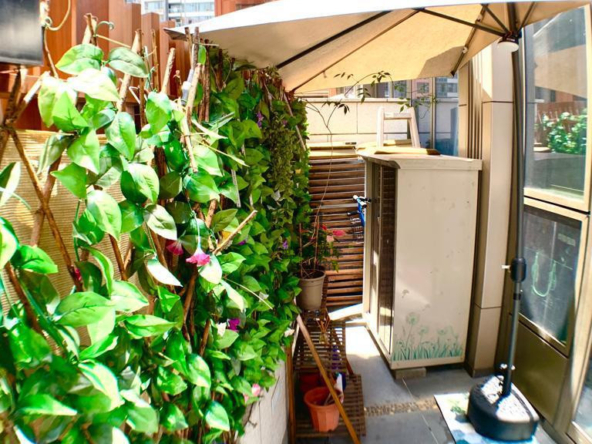 海日灣II 低層 - 世紀21白石角分行 - 大埔區物業代理的權威百科 專營豪宅買賣