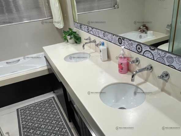 比華利山別墅 全幢 - 世紀21白石角分行 - 大埔區物業代理的權威百科 專營豪宅買賣