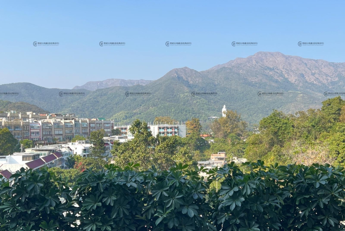 比華利山別墅 全幢 - 世紀21白石角分行 - 大埔區物業代理的權威百科 專營豪宅買賣