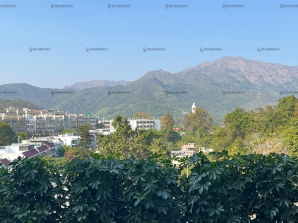 比華利山別墅 全幢 - 世紀21白石角分行 - 大埔區物業代理的權威百科 專營豪宅買賣